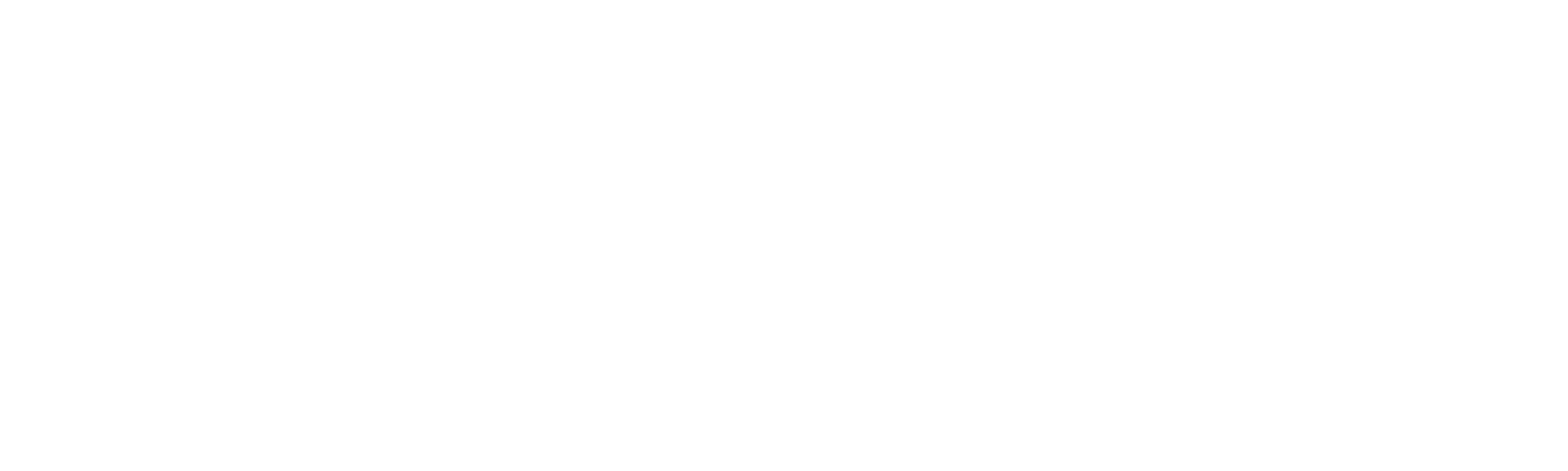 Dirty Rotten Cleaners