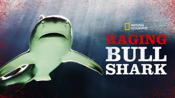 thumbnail - Raging Bullshark