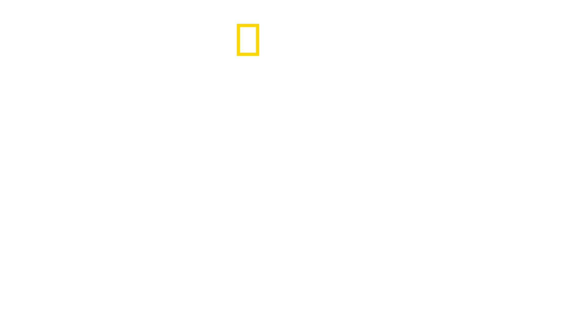 Beyond Magic with DMC