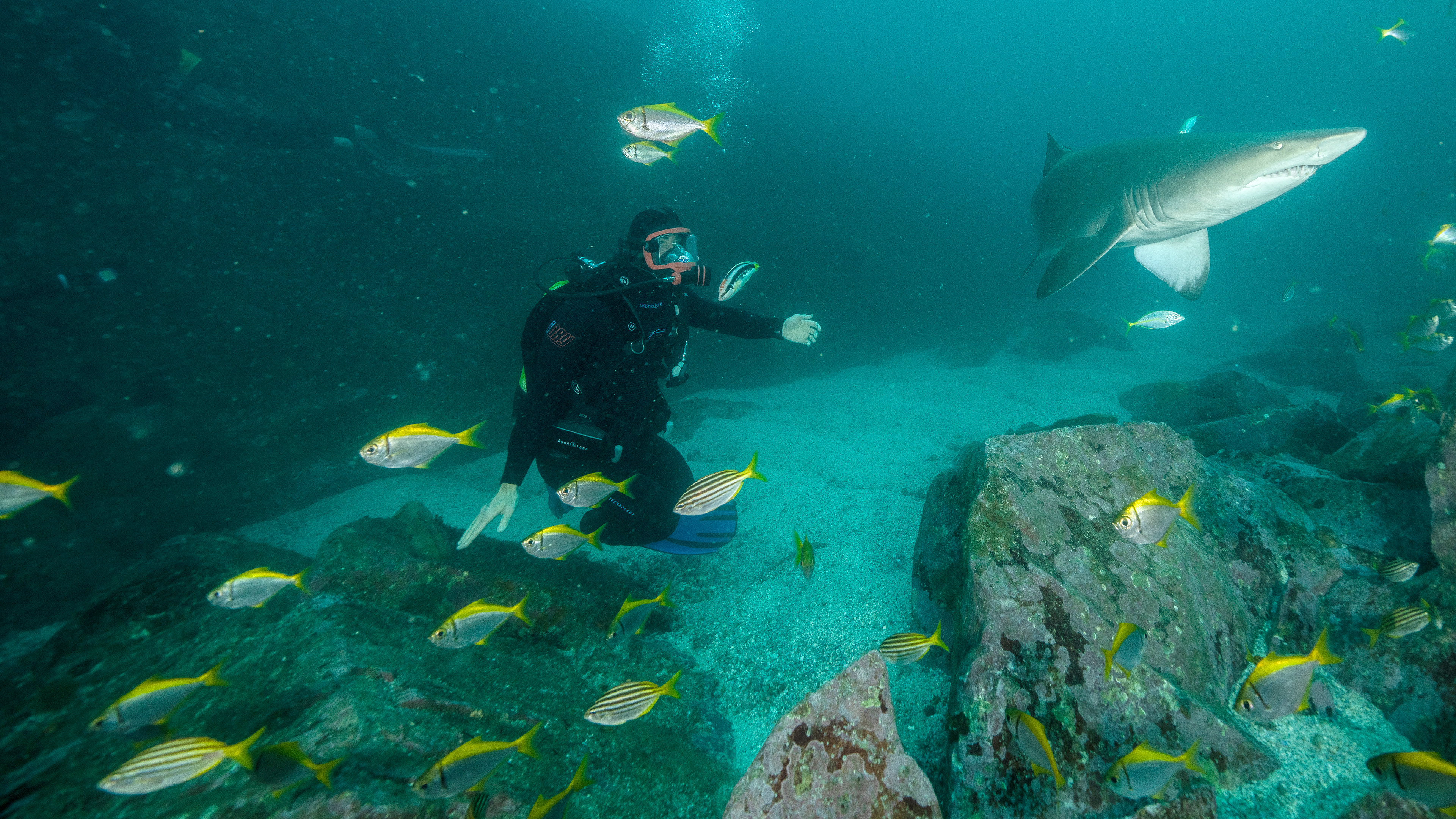 Shark Beach with Chris Hemsworth