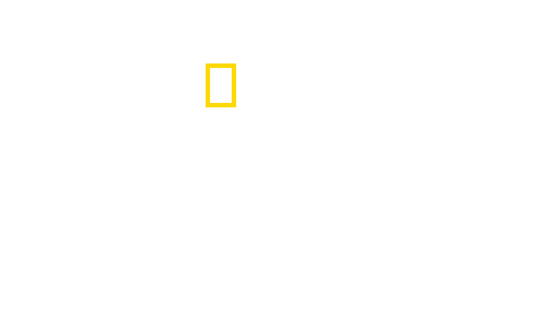 We Feed People