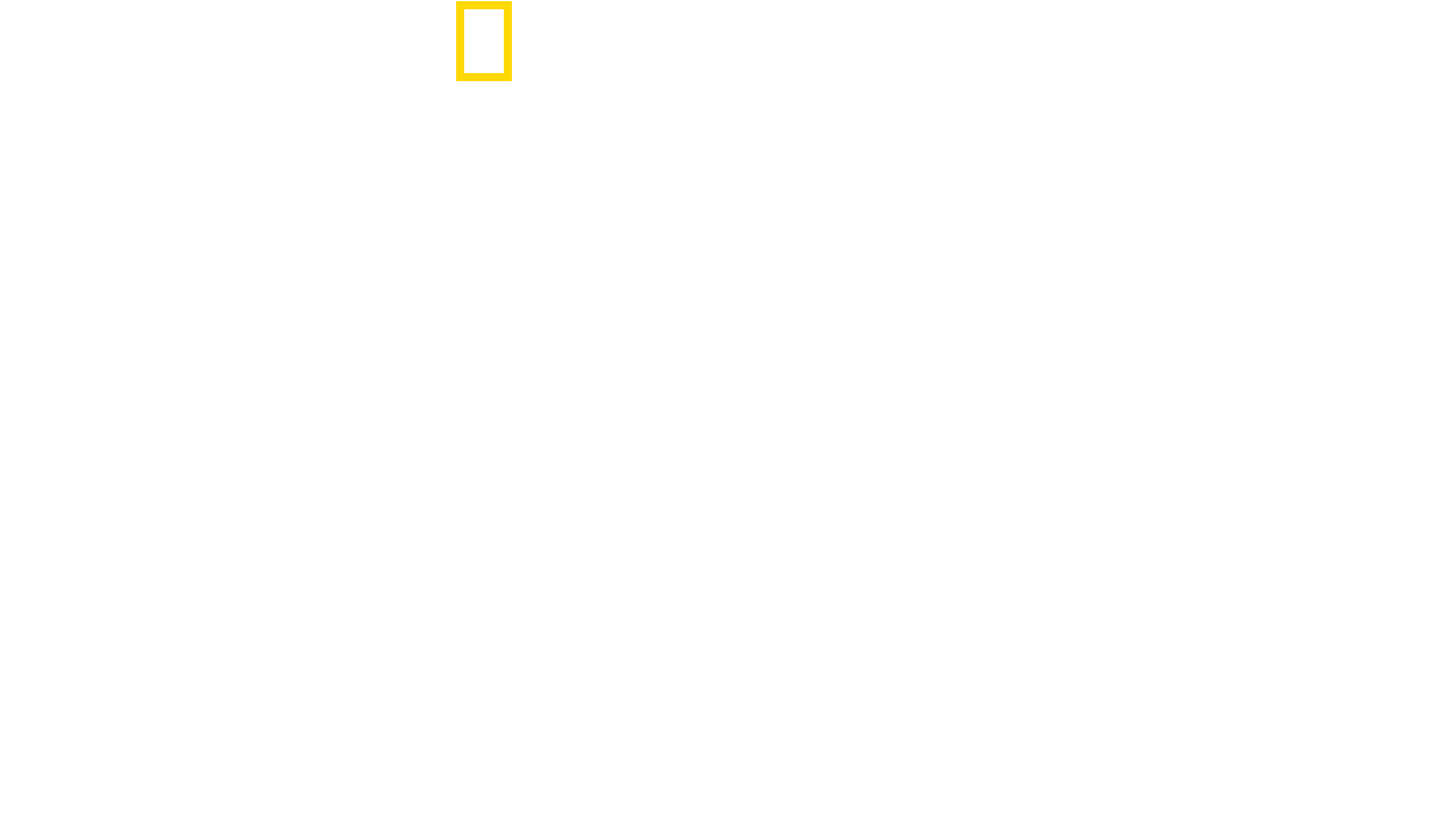 Shark Side of the Moon