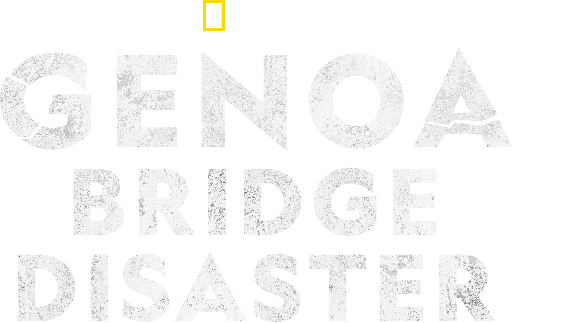 Genoa Bridge Disaster