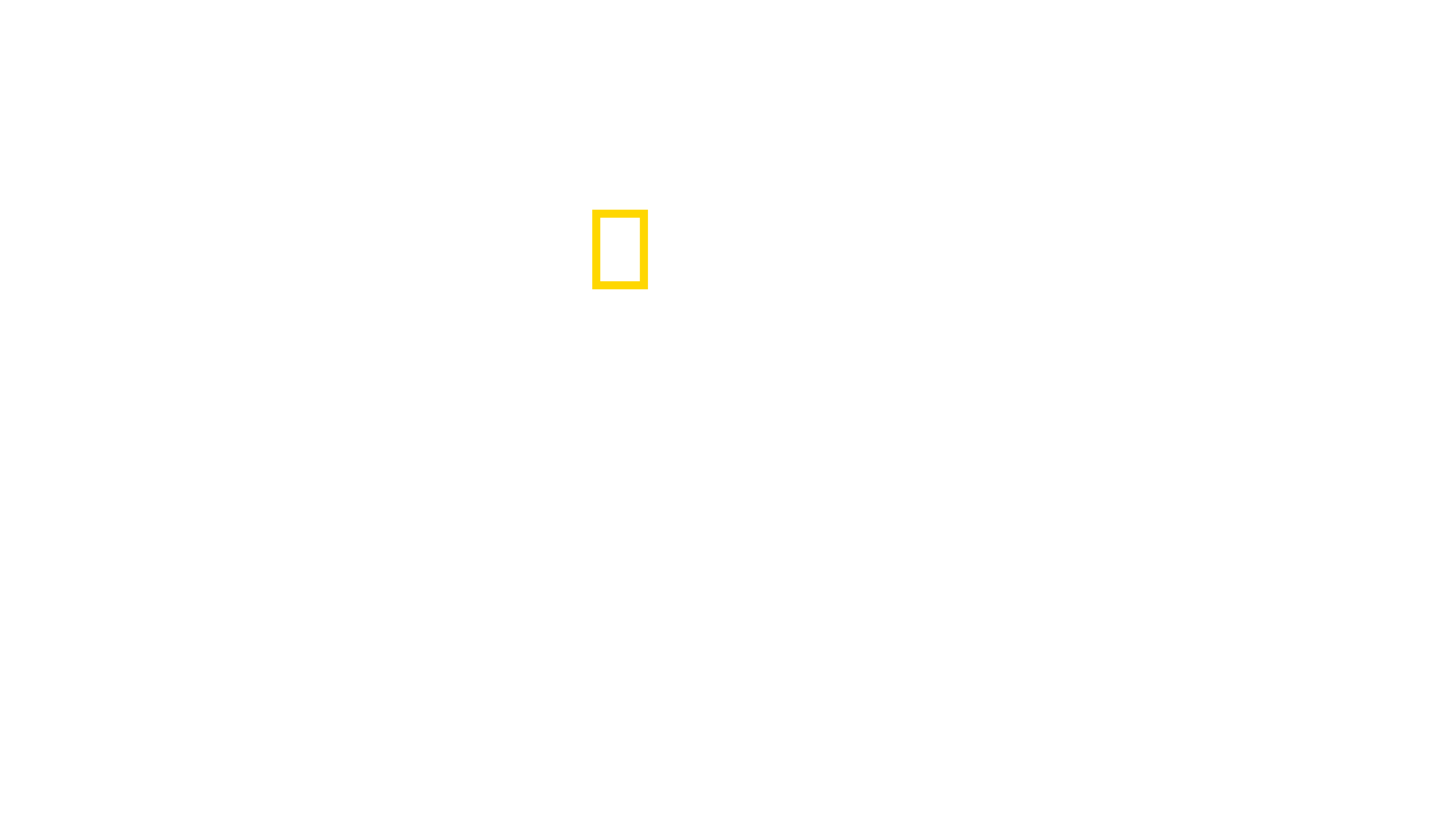 Rebuilding Paradise