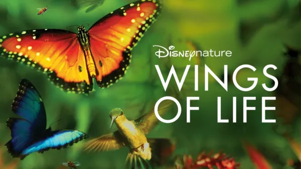 thumbnail - Wings of Life