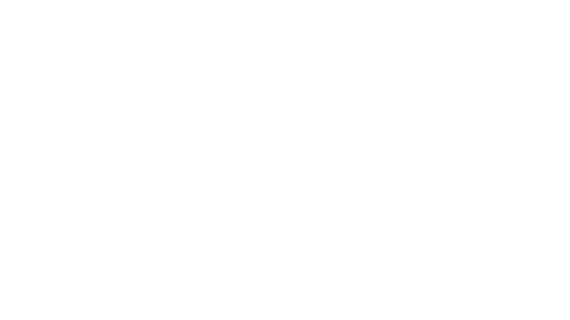 The Art of Racing in the Rain