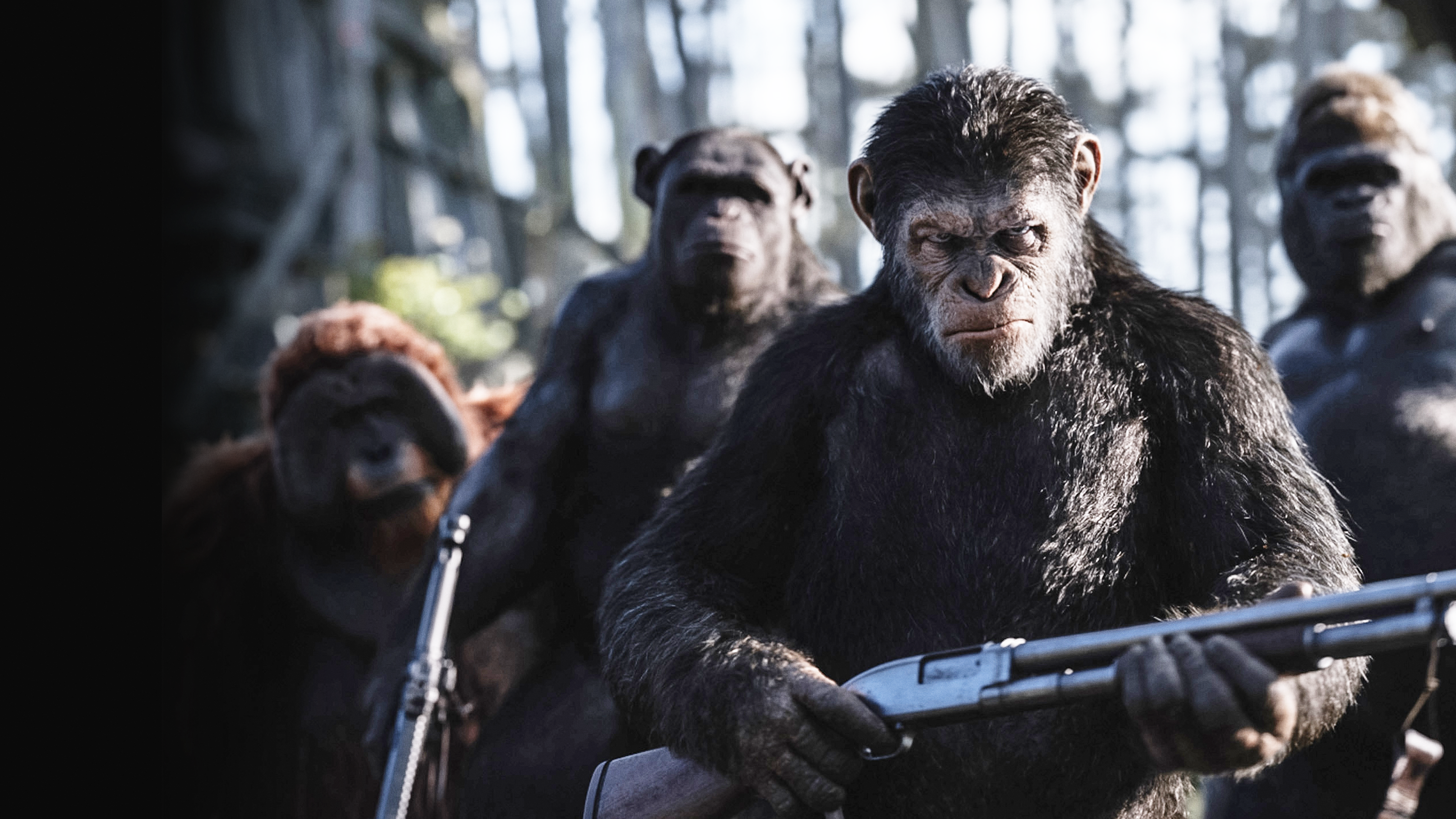 Planeta dos Macacos A Guerra