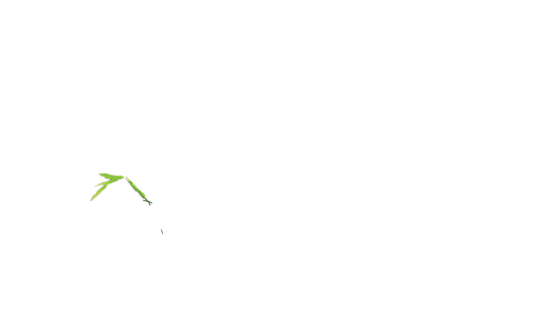 Trail of the Panda