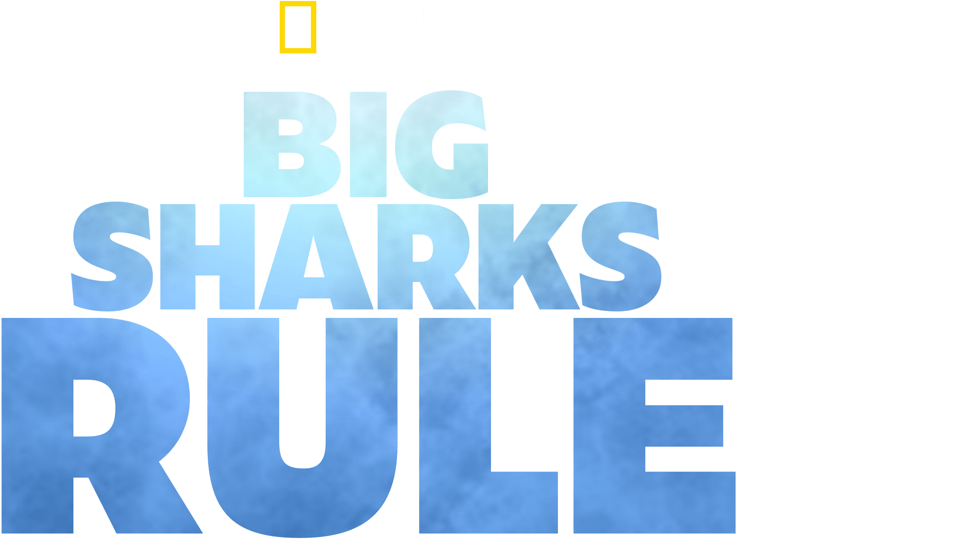 Big Sharks Rule