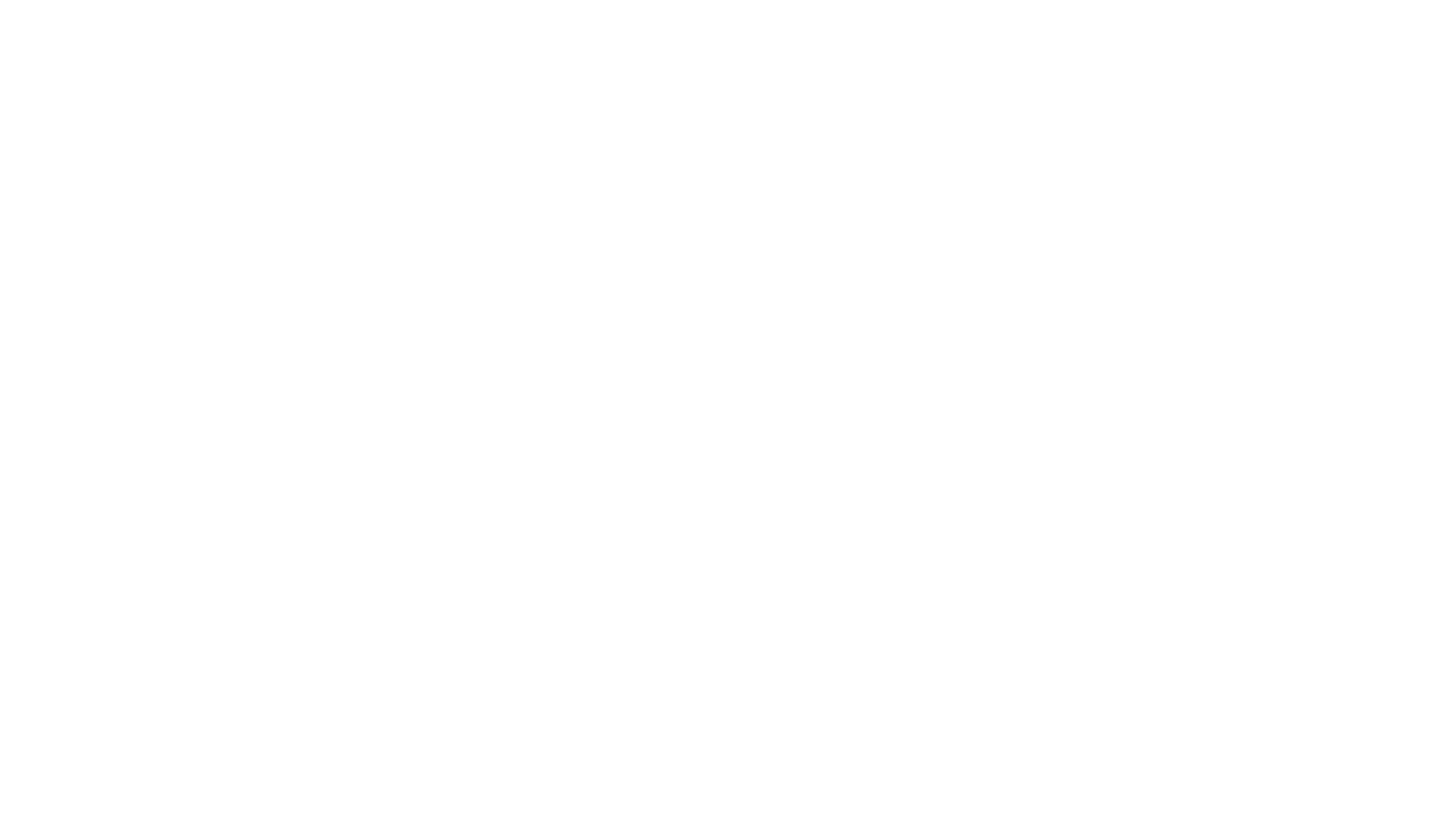 Cisne Negro