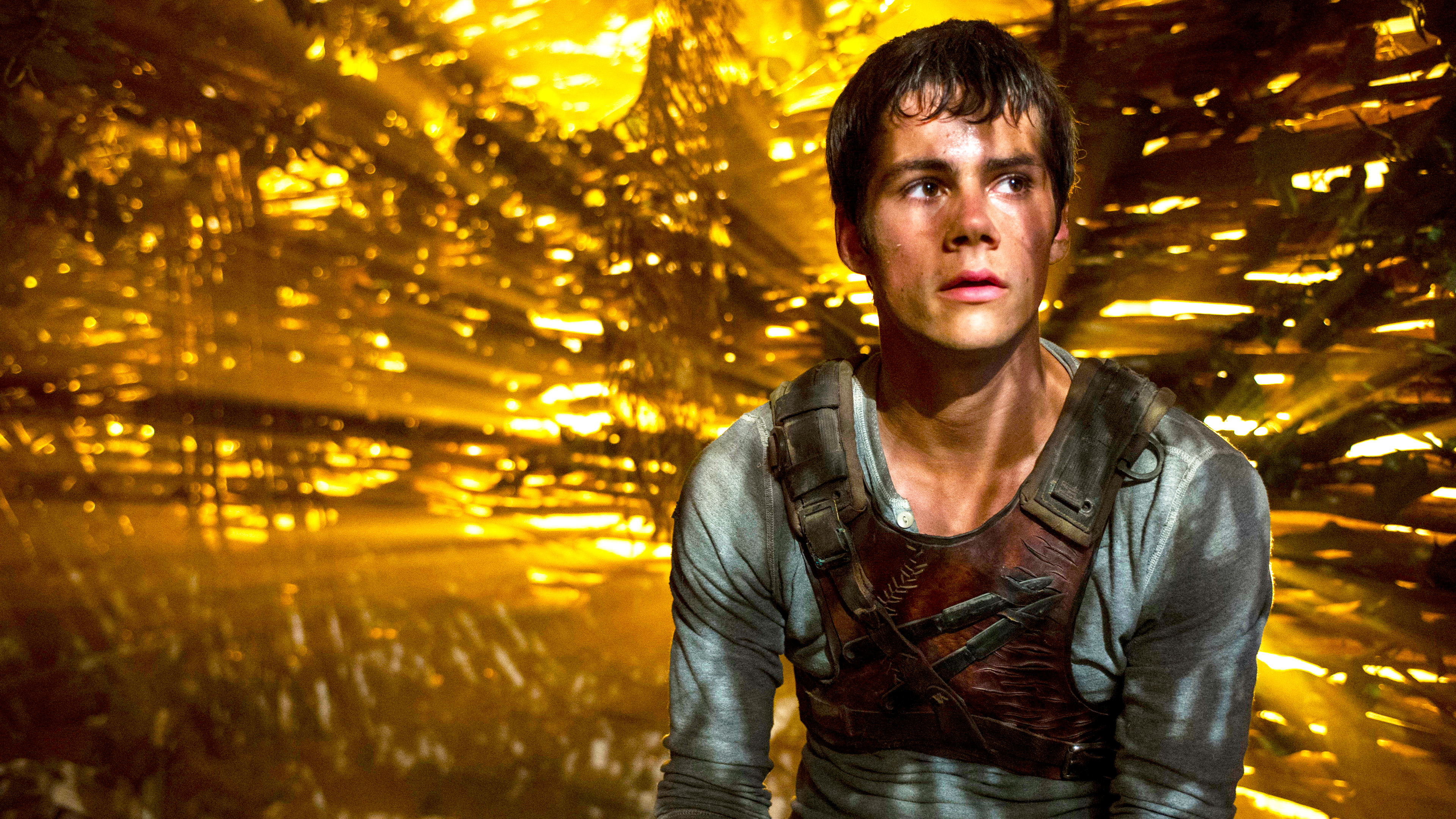 The Maze Runner