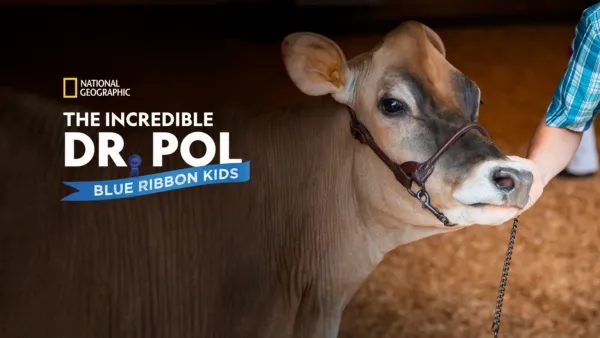 thumbnail - The Incredible Dr. Pol: Blue Ribbon Kids