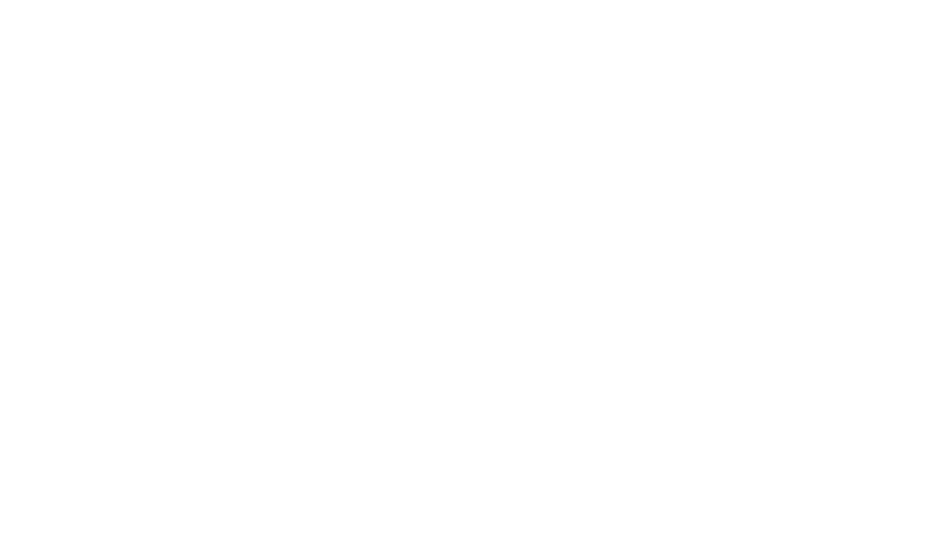 Life in Pieces