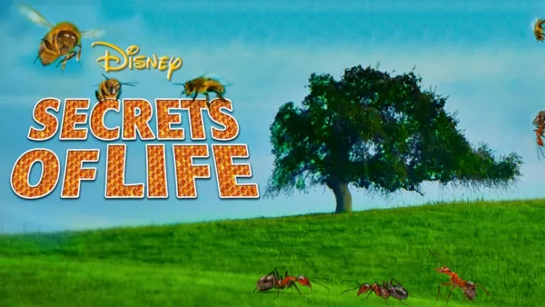 thumbnail - Secrets of Life