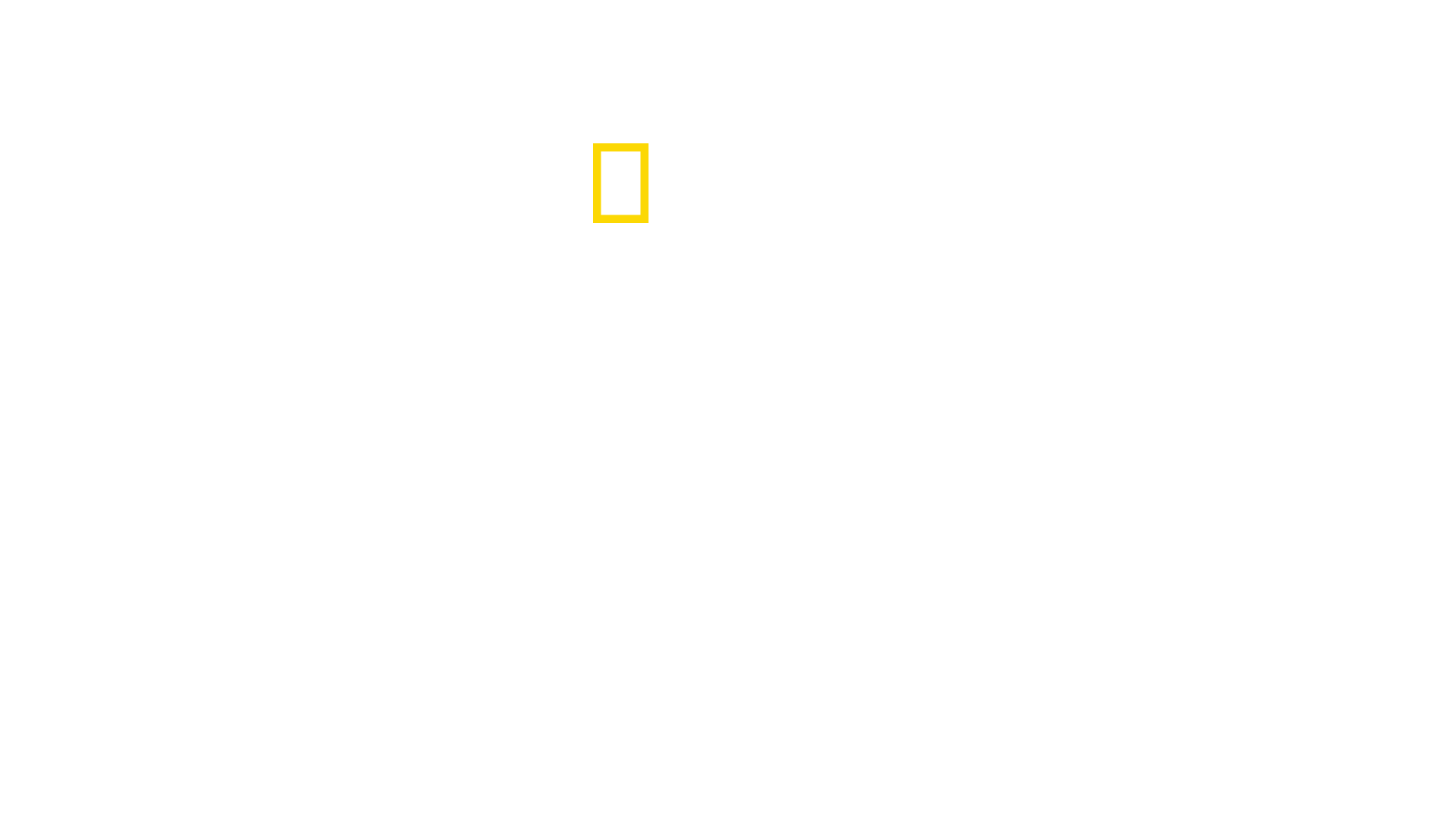 Secrets of the Whales