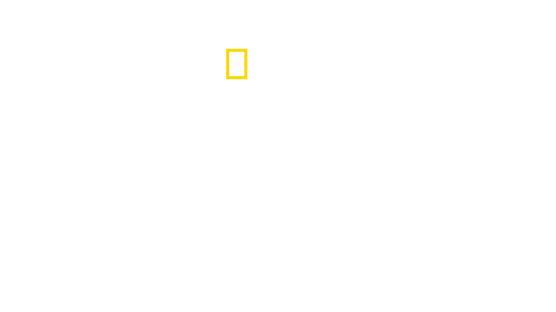 Savage Kingdom