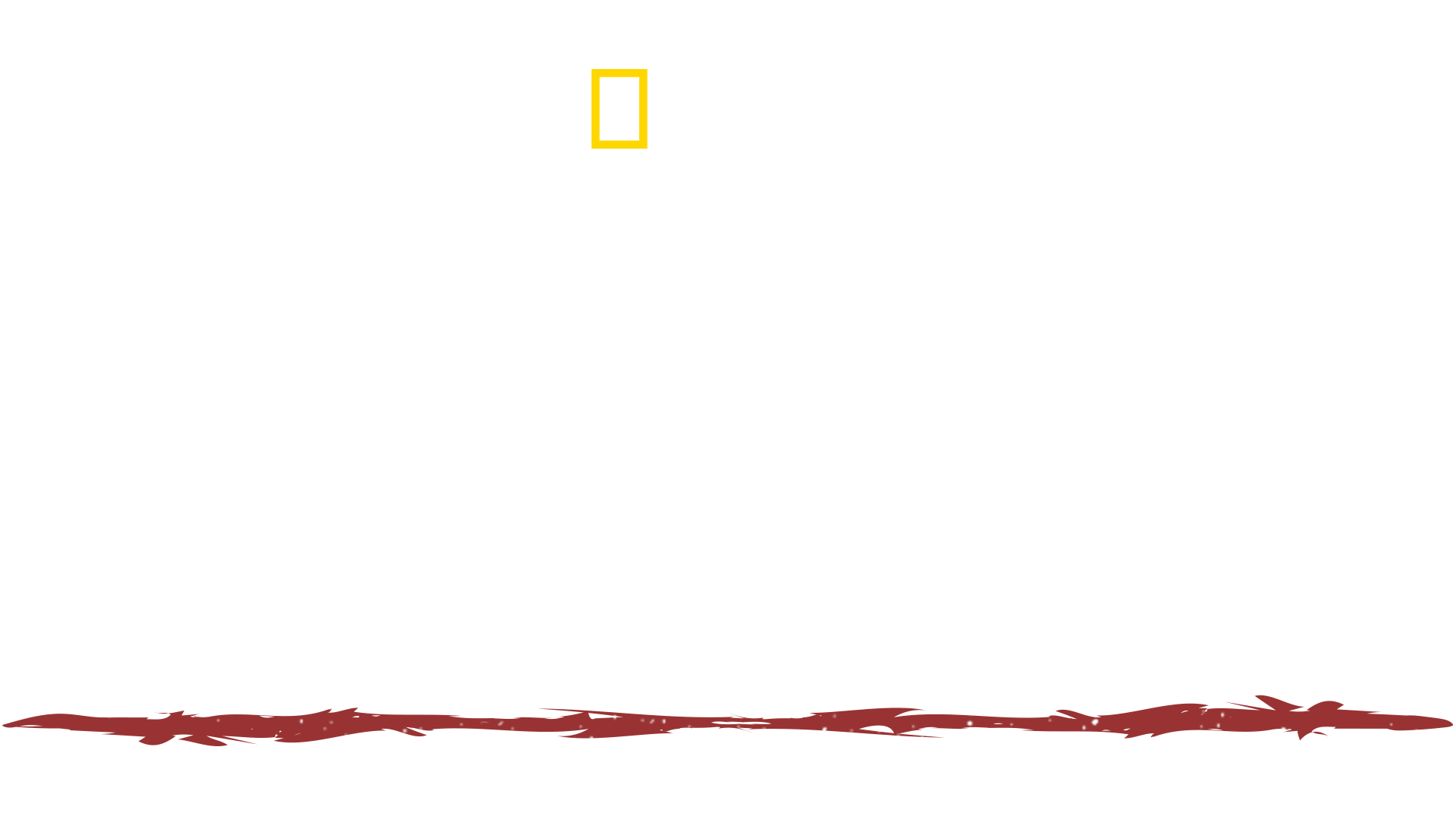 Primal Survivor