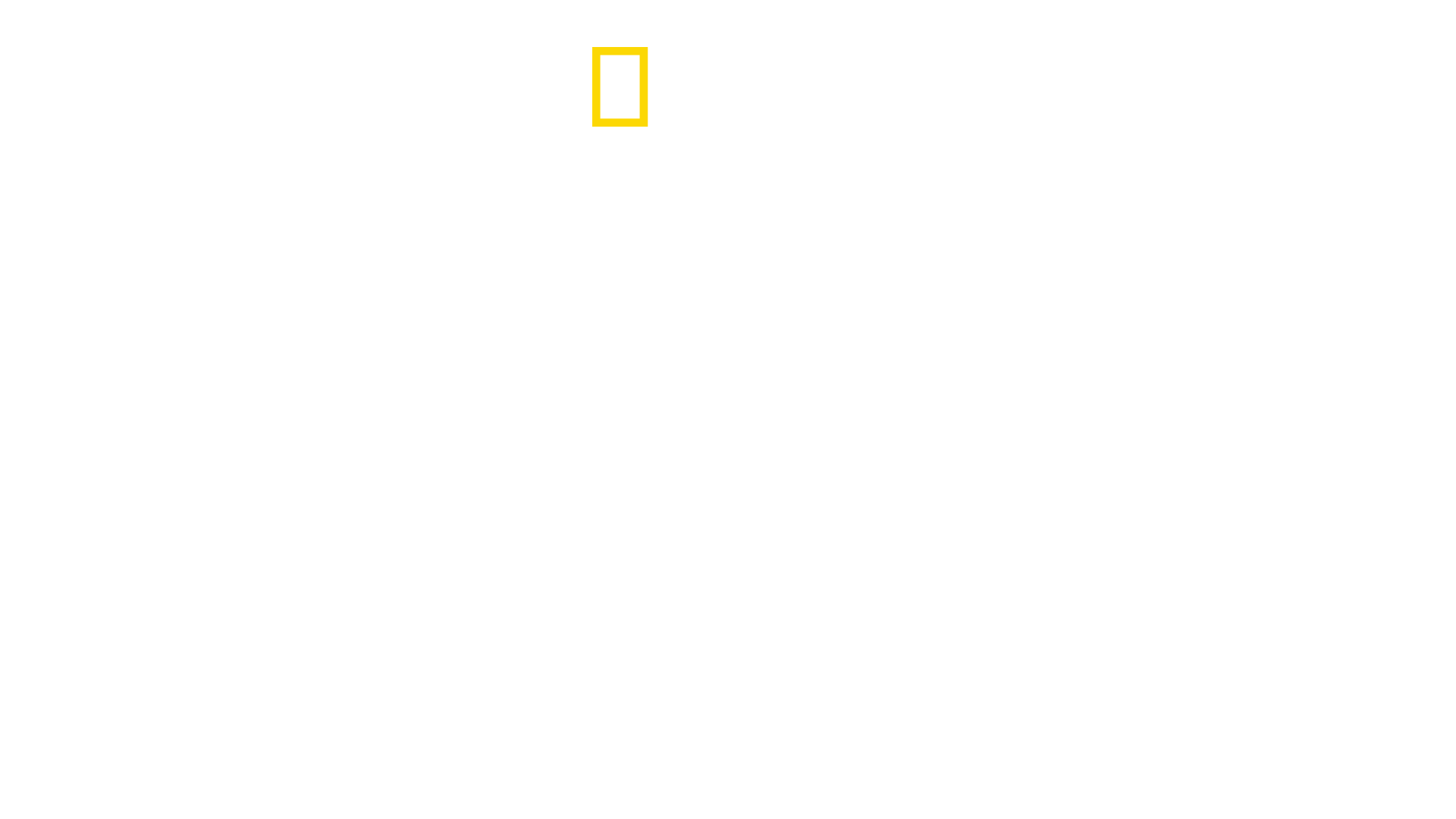 The Incredible Dr. Pol: The Grand Finale