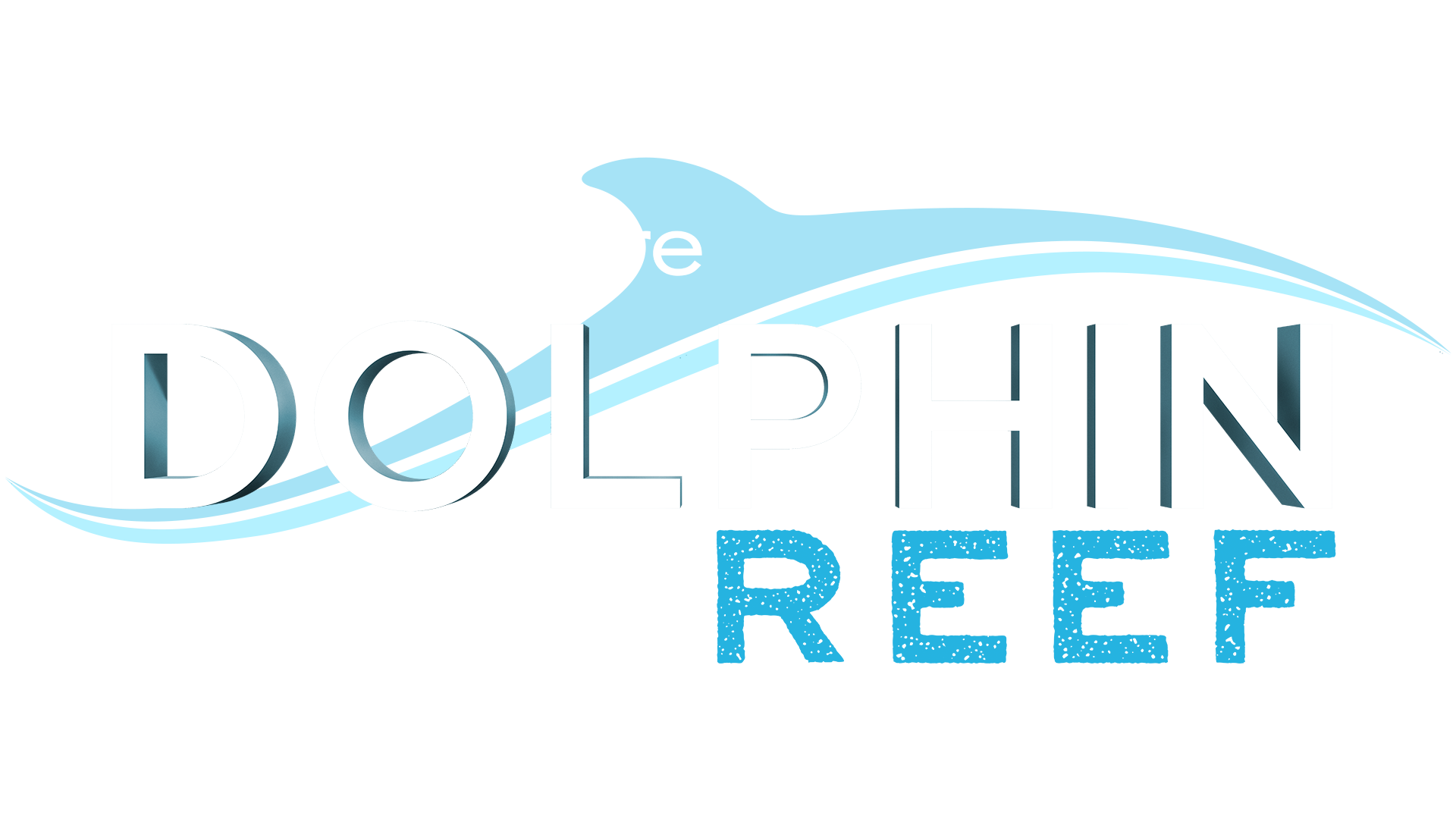 Dolphin Reef