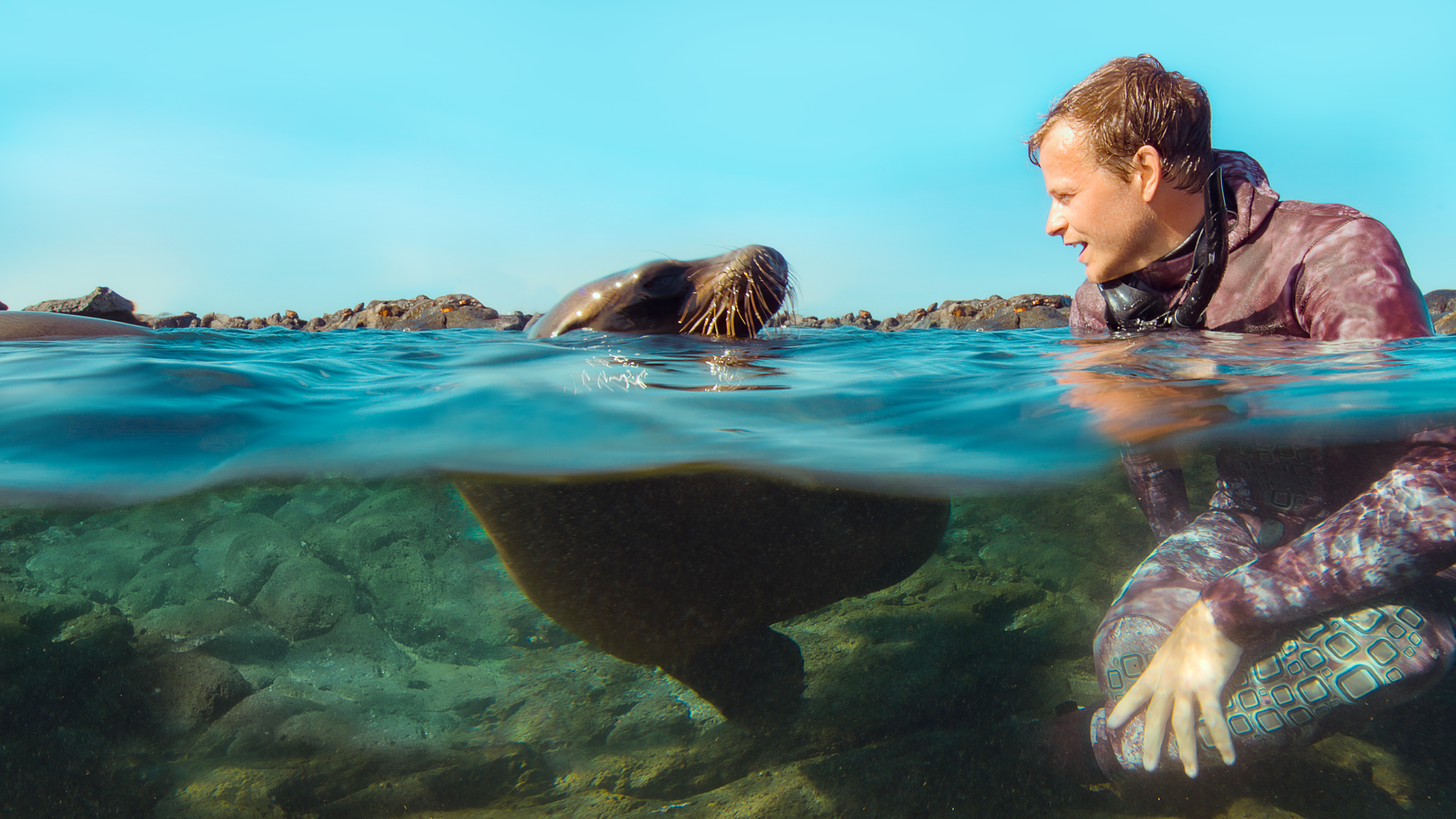 Animals Up Close with Bertie Gregory