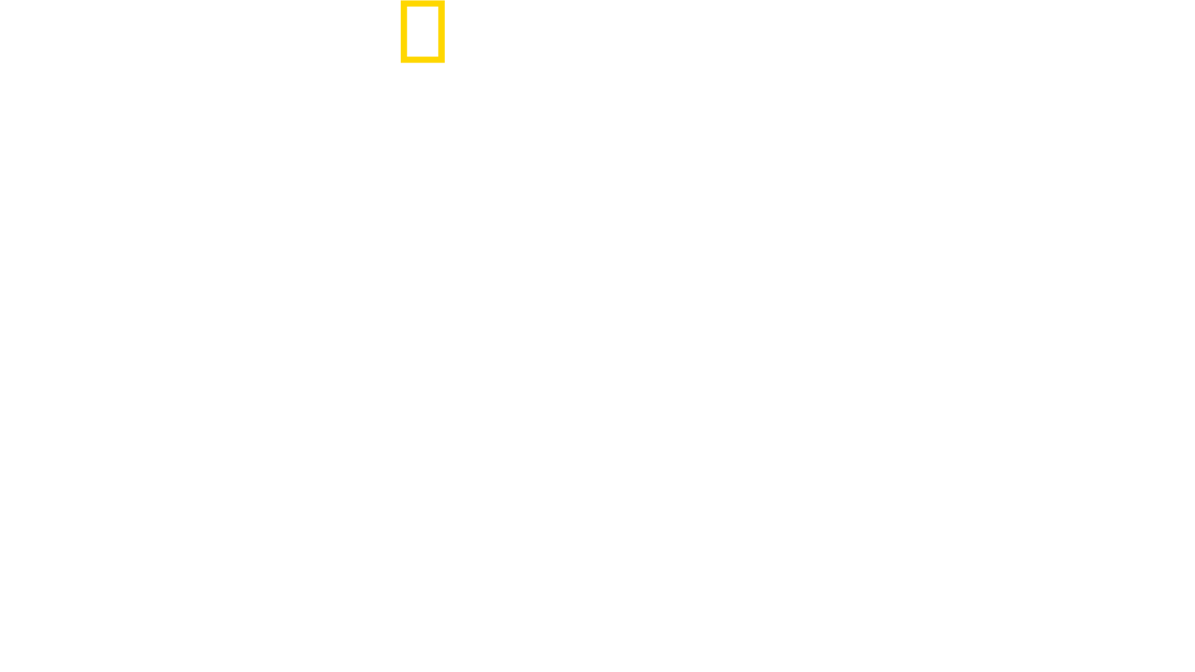 Maui Shark Mystery