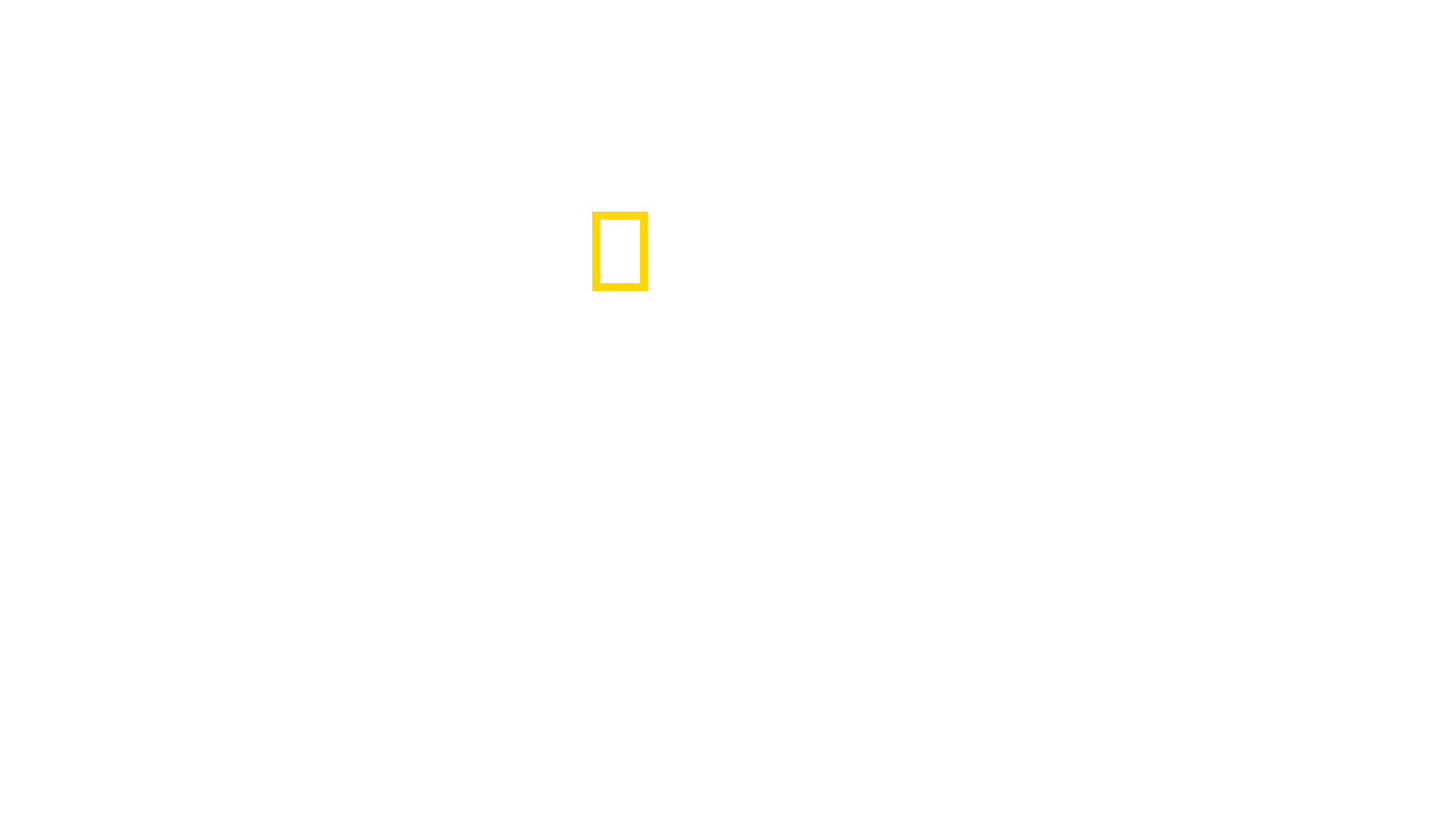 Critter Fixers: Country Vets