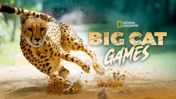 thumbnail - Big Cat Games