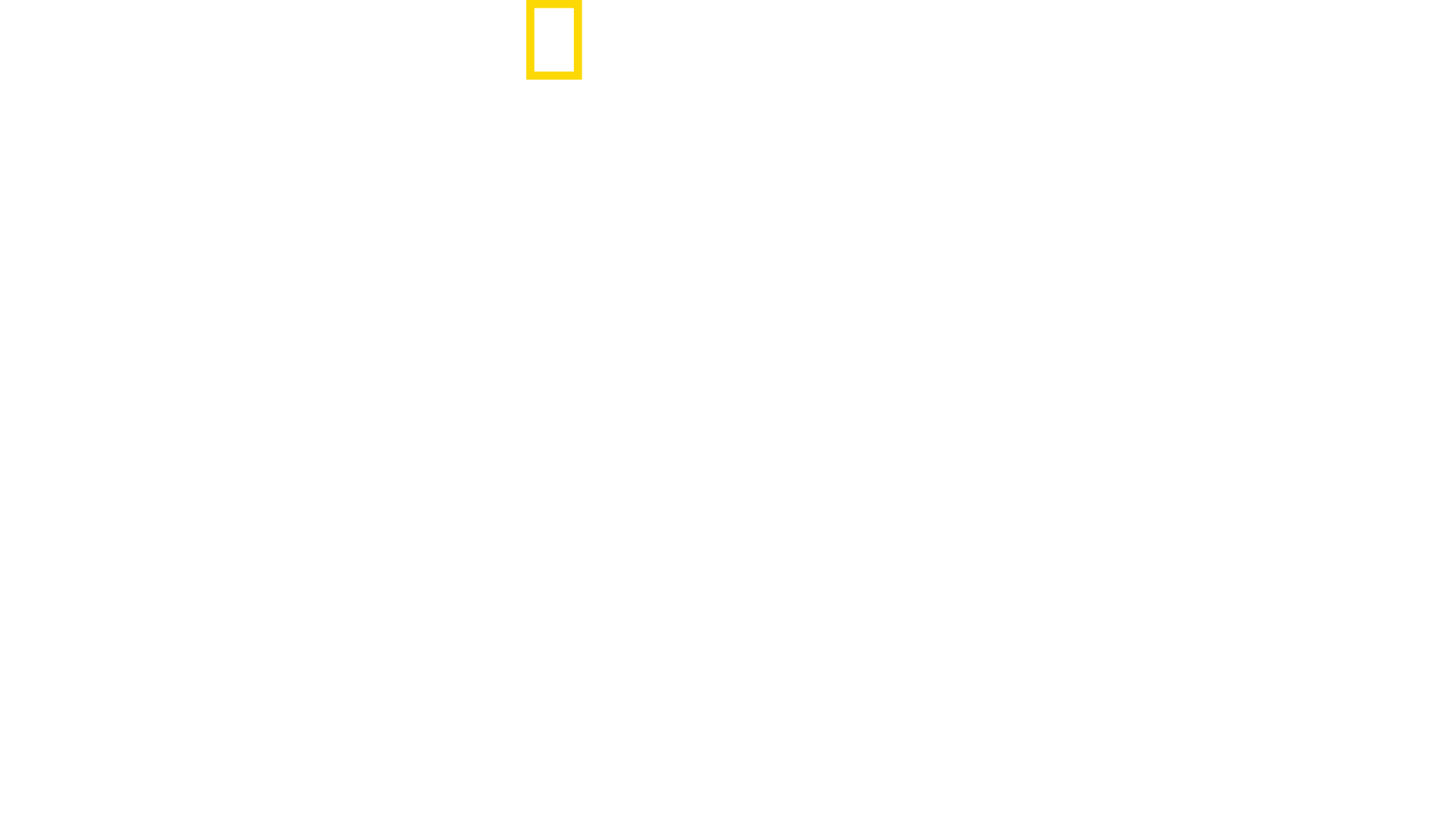 Most Wanted Sharks