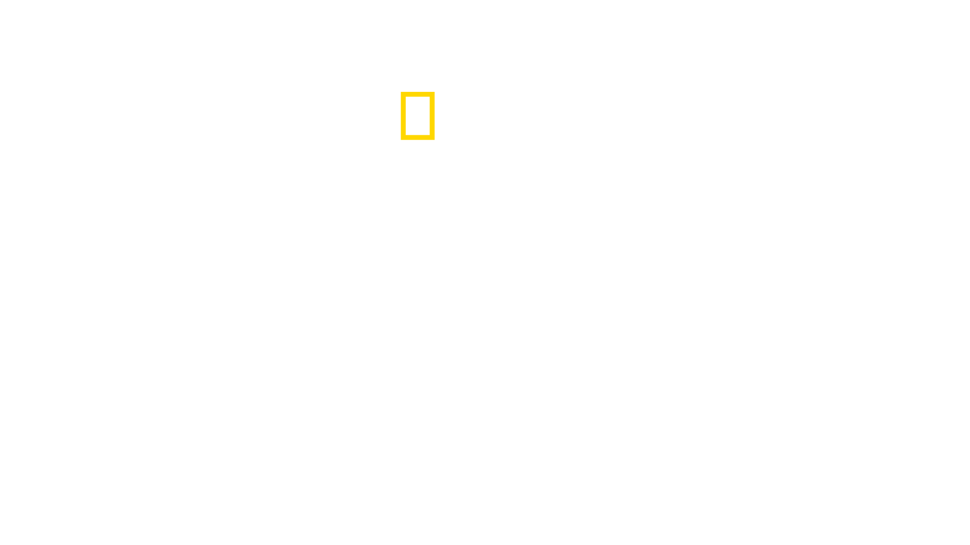 Sharks of Lost Island