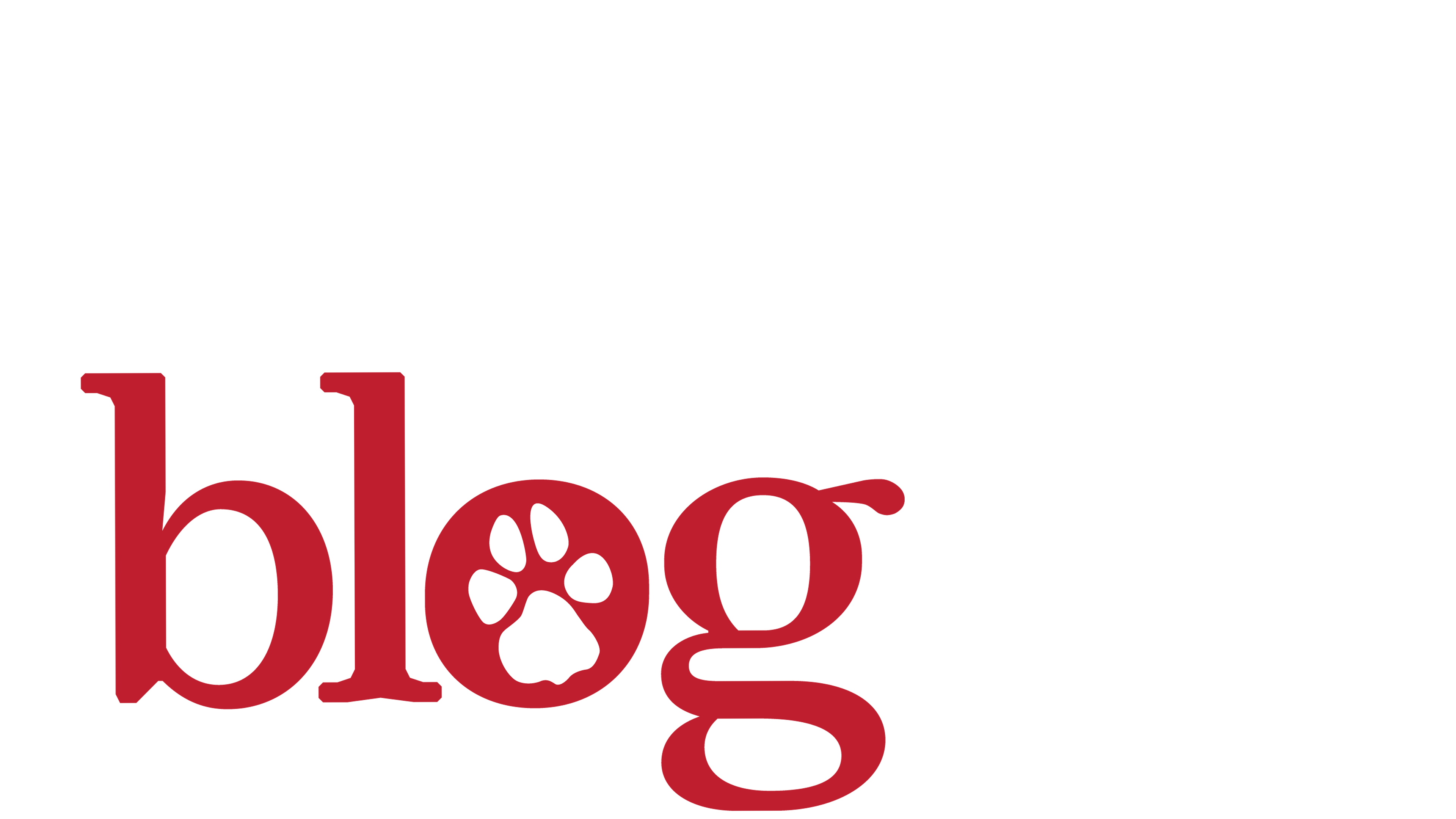 Dog With a Blog