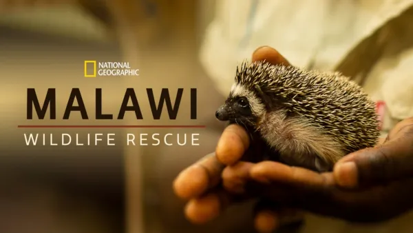 thumbnail - Malawi Wildlife Rescue