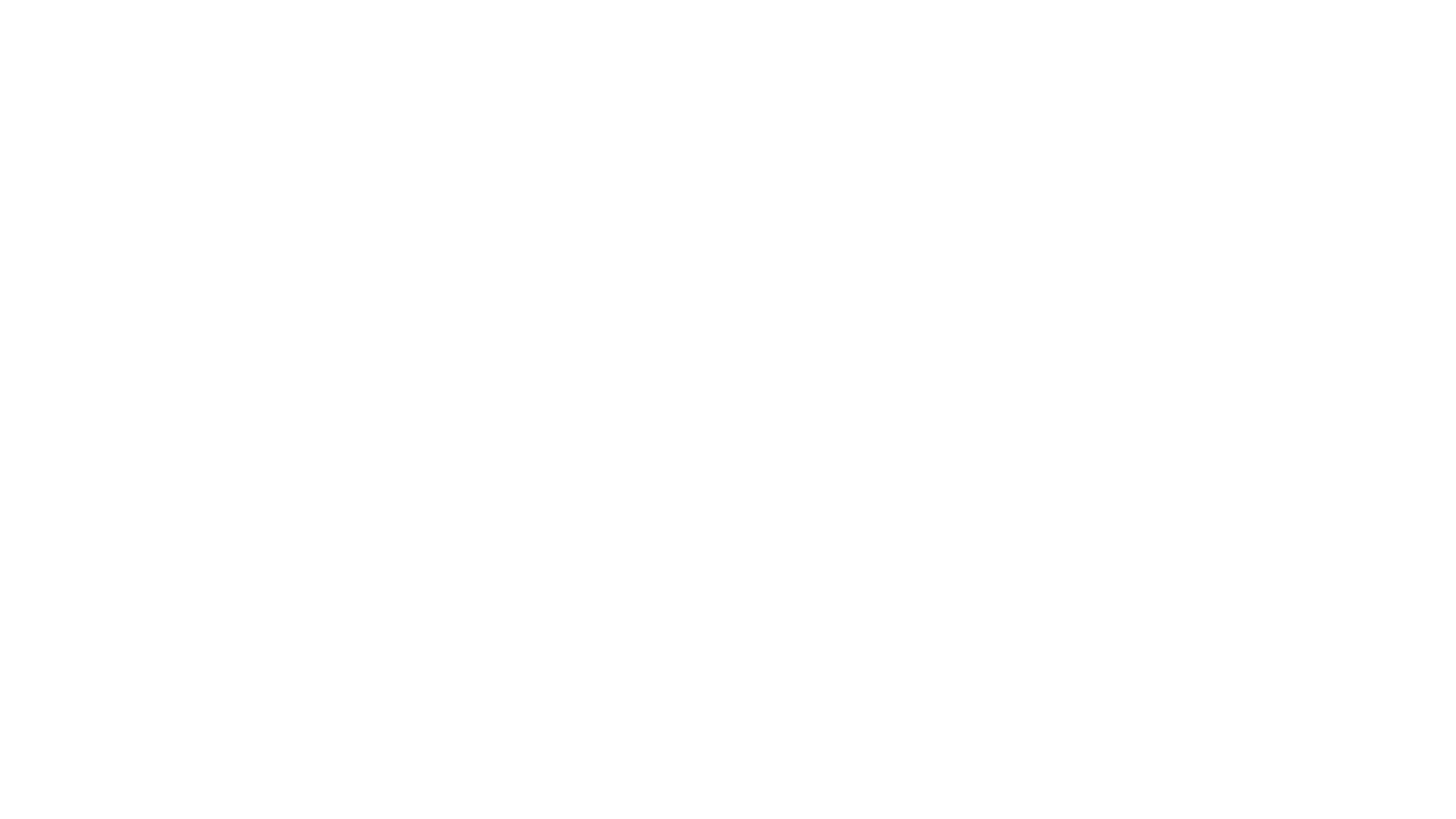 Pirates of the Caribbean - Fluch der Karibik 2