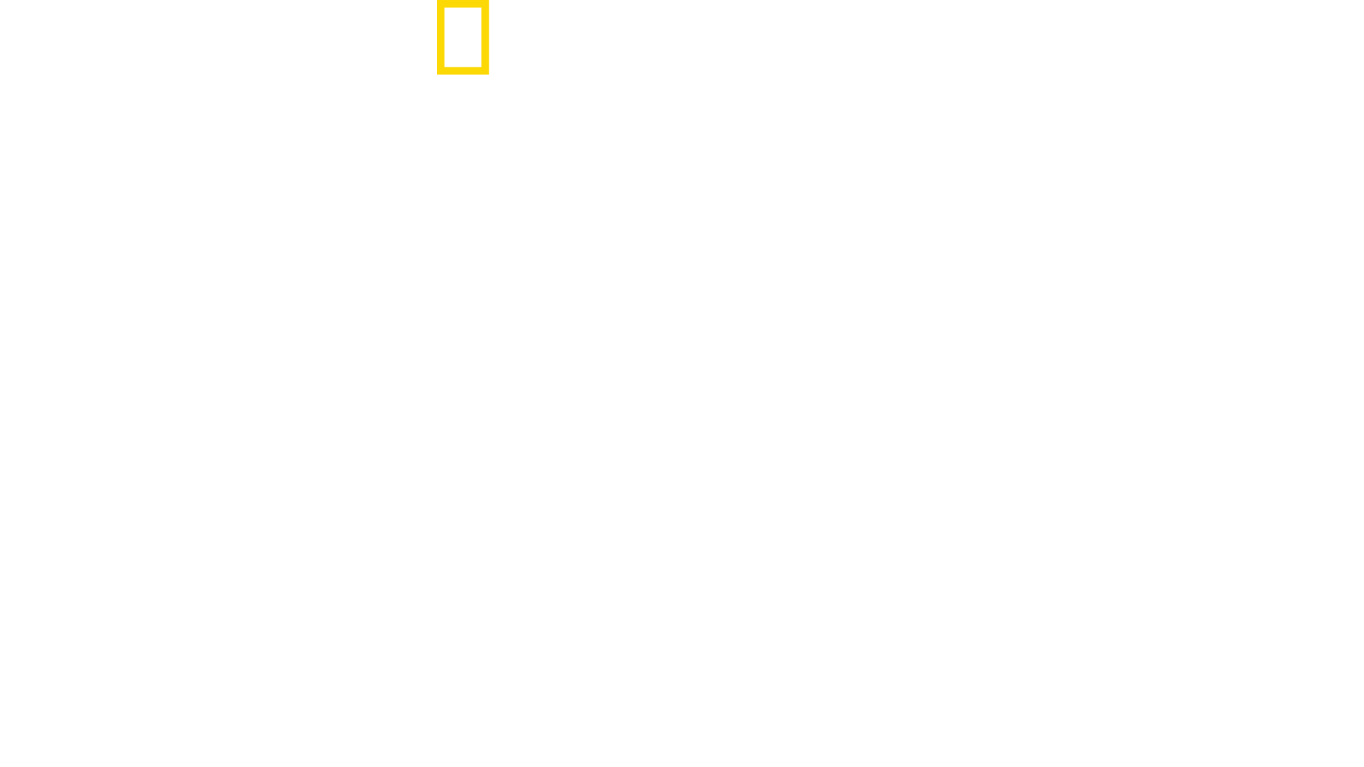 When Sharks Attack