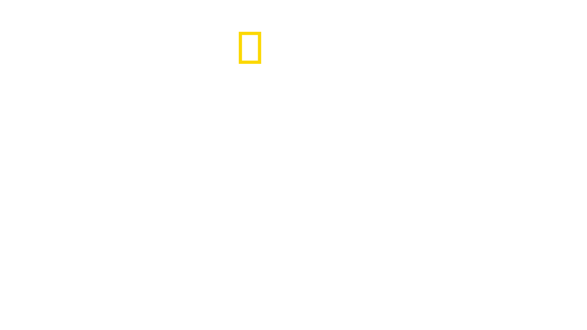 Bobi Wine: The People's President