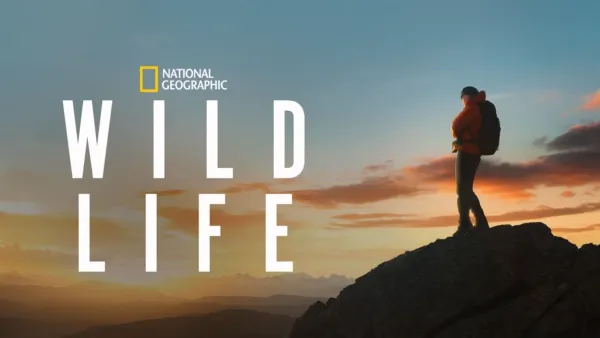 thumbnail - Wild Life