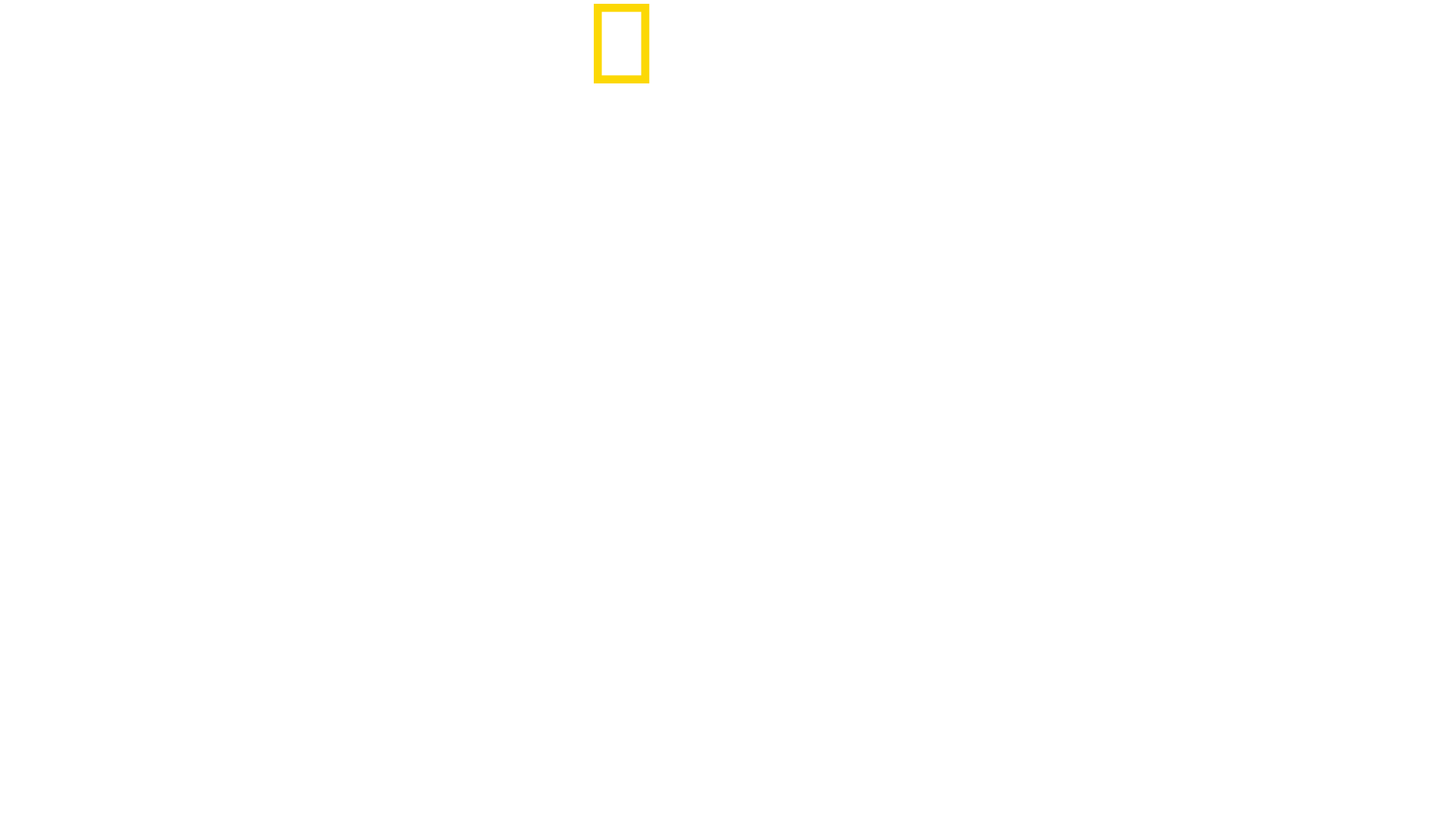 Ultimate Survival WWII