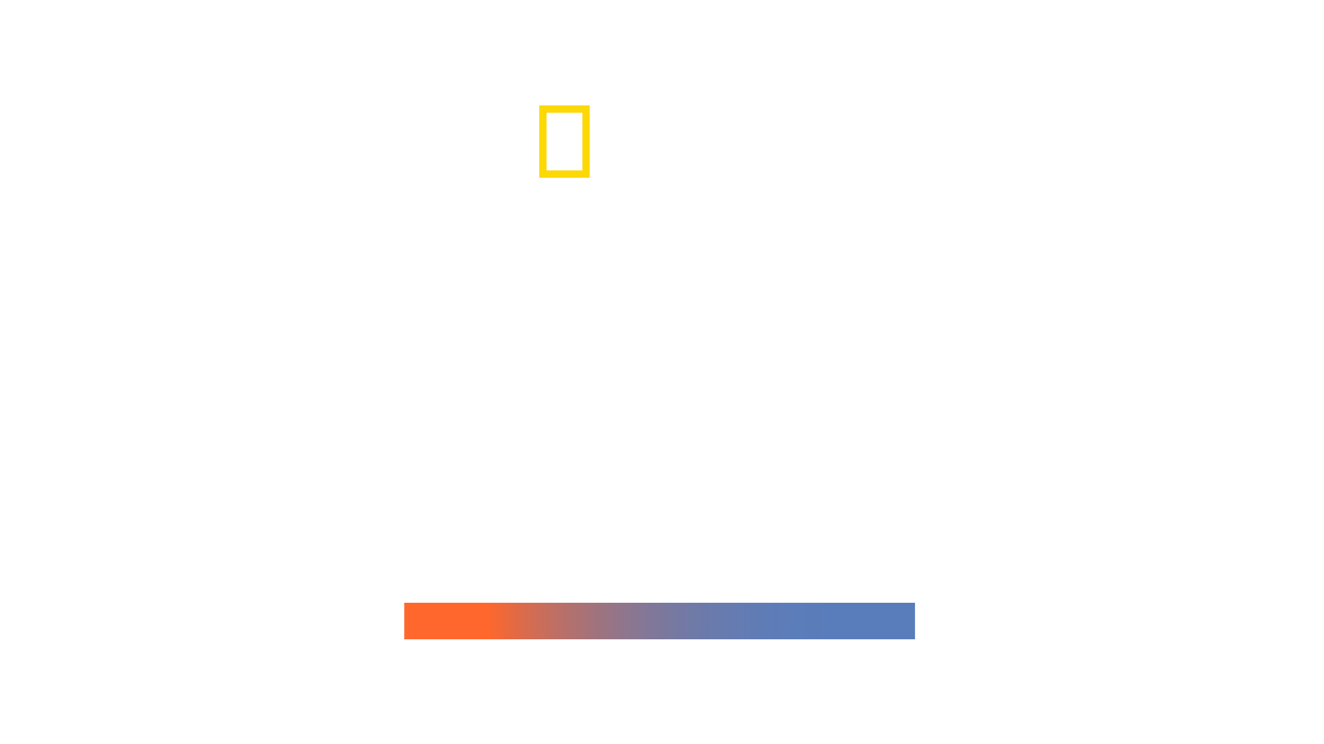 Mega Hammerhead