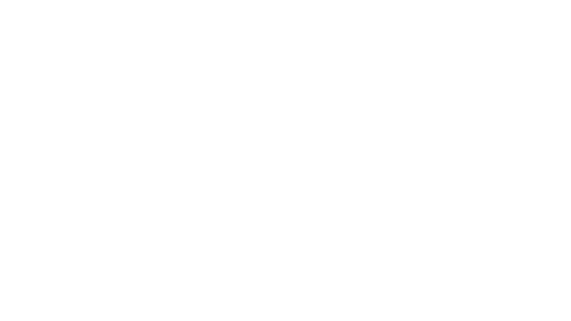 The Adventures of Spin and Marty