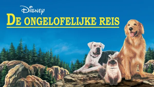 thumbnail - De Ongelofelijke Reis