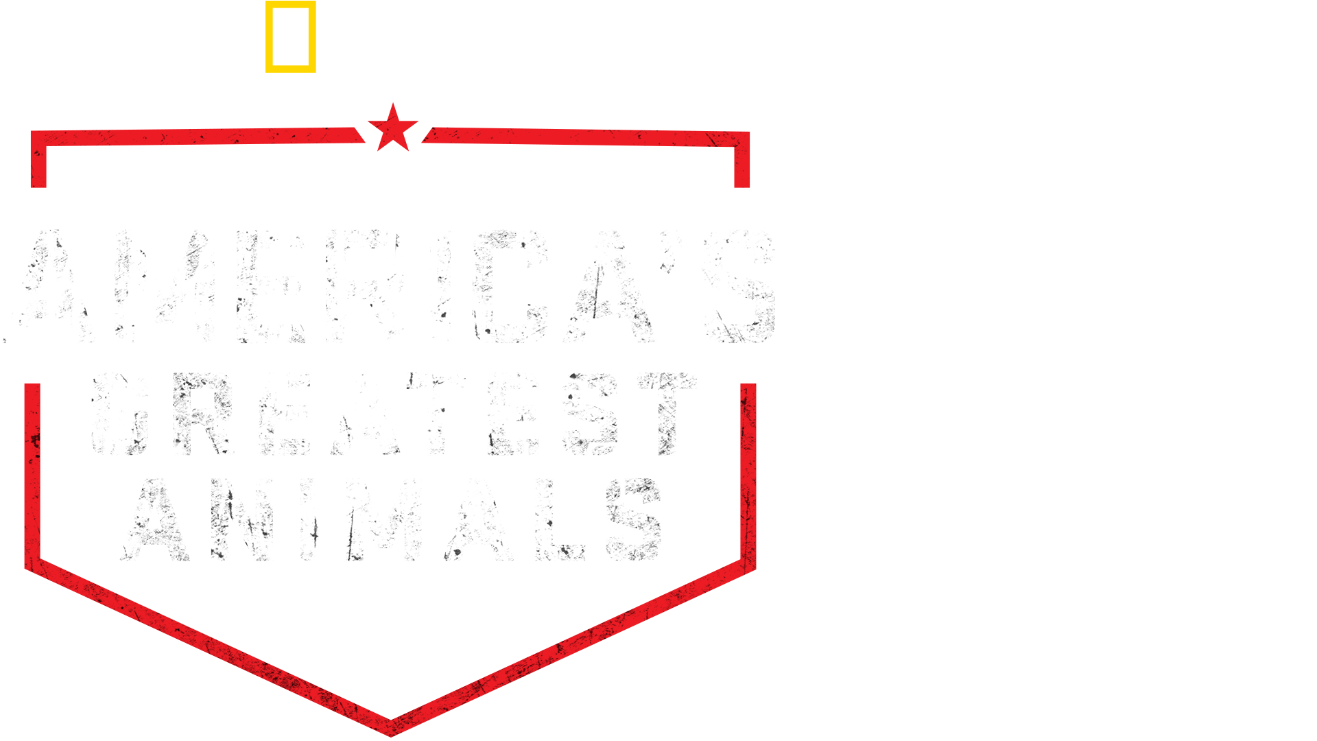 America's Greatest Animals