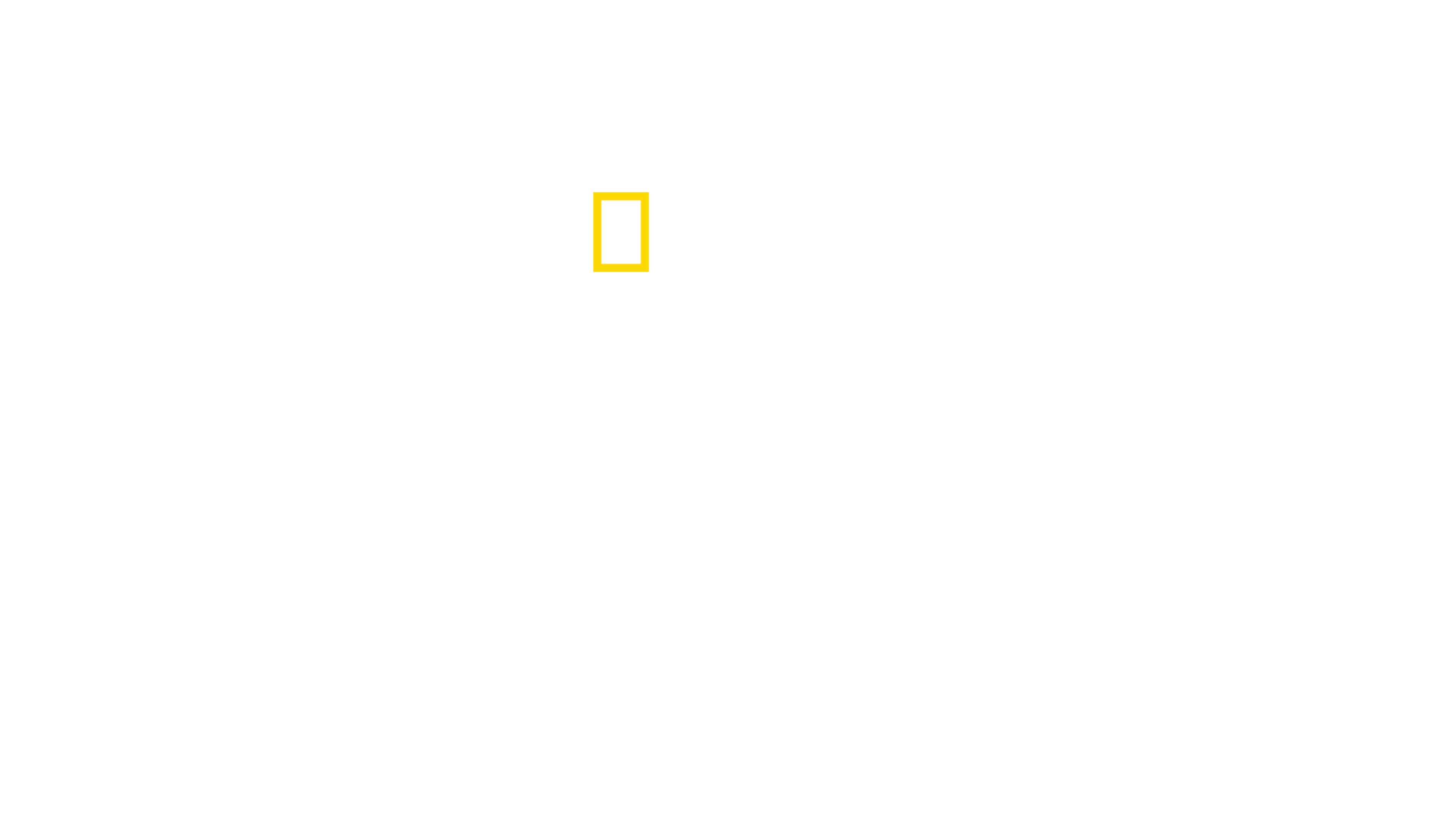 Path of the Panther