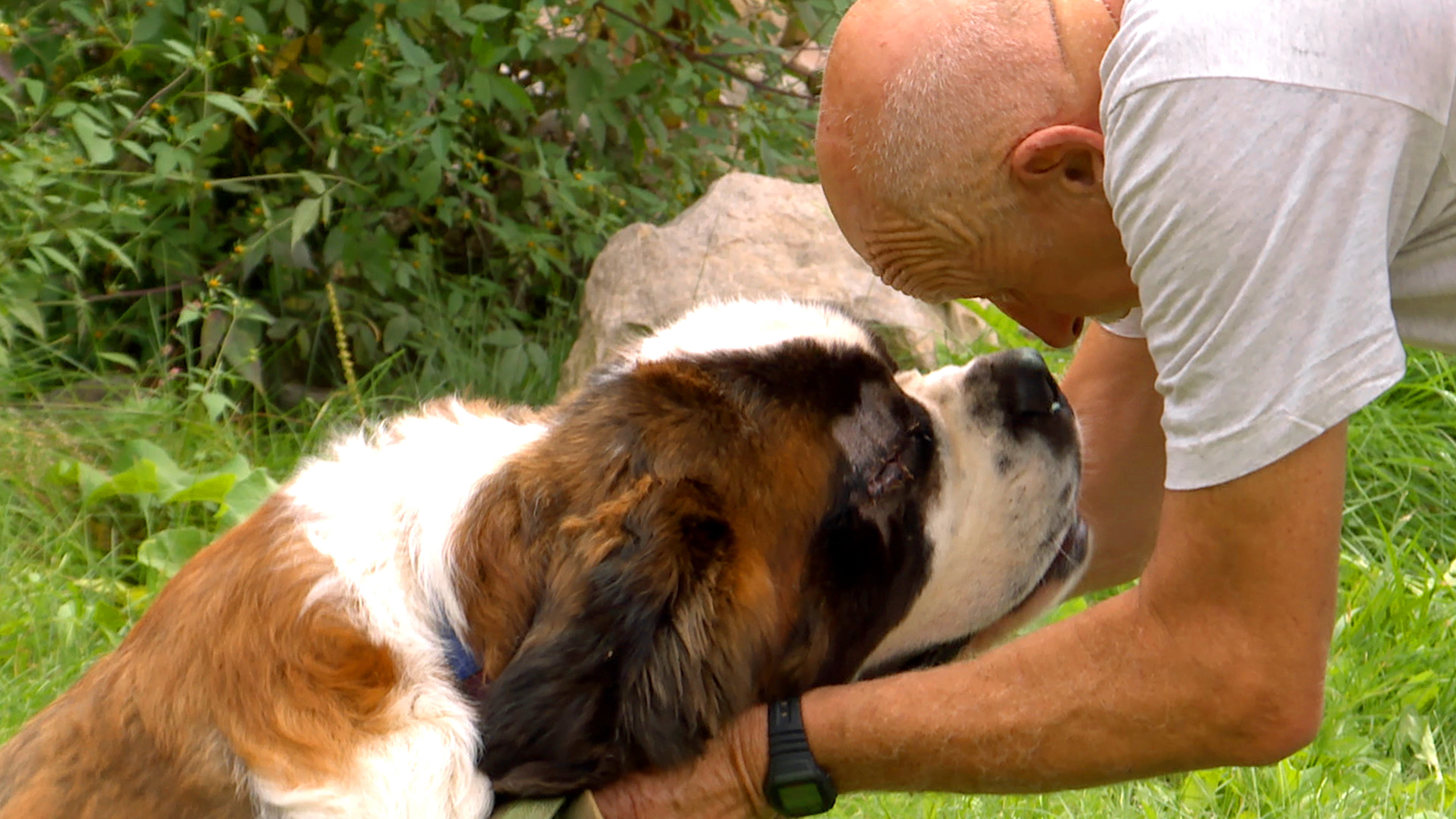 Incredible Dr. Pol: A 200th Polapalooza