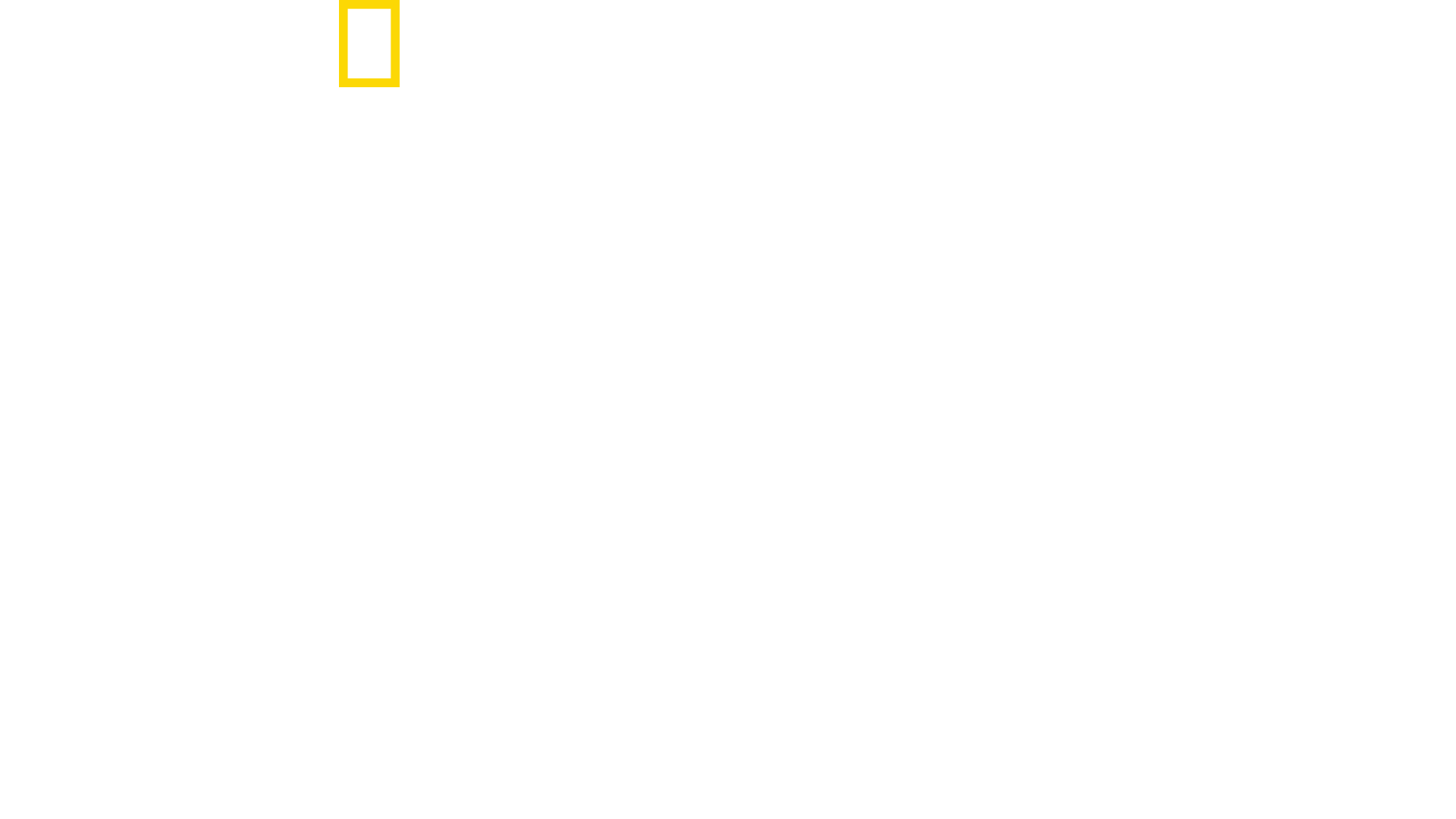 Shark Attack Files