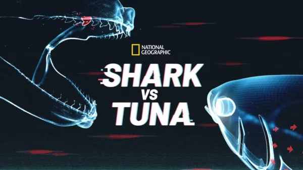 thumbnail - Shark Vs. Tuna