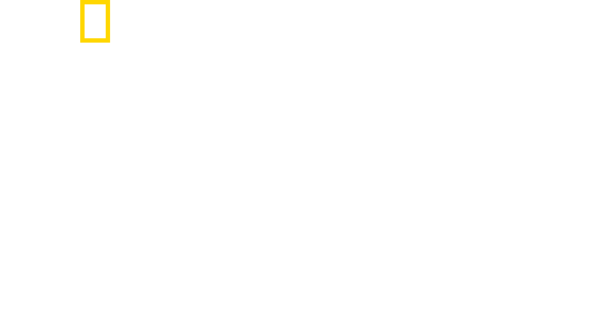 Paris To Pittsburgh