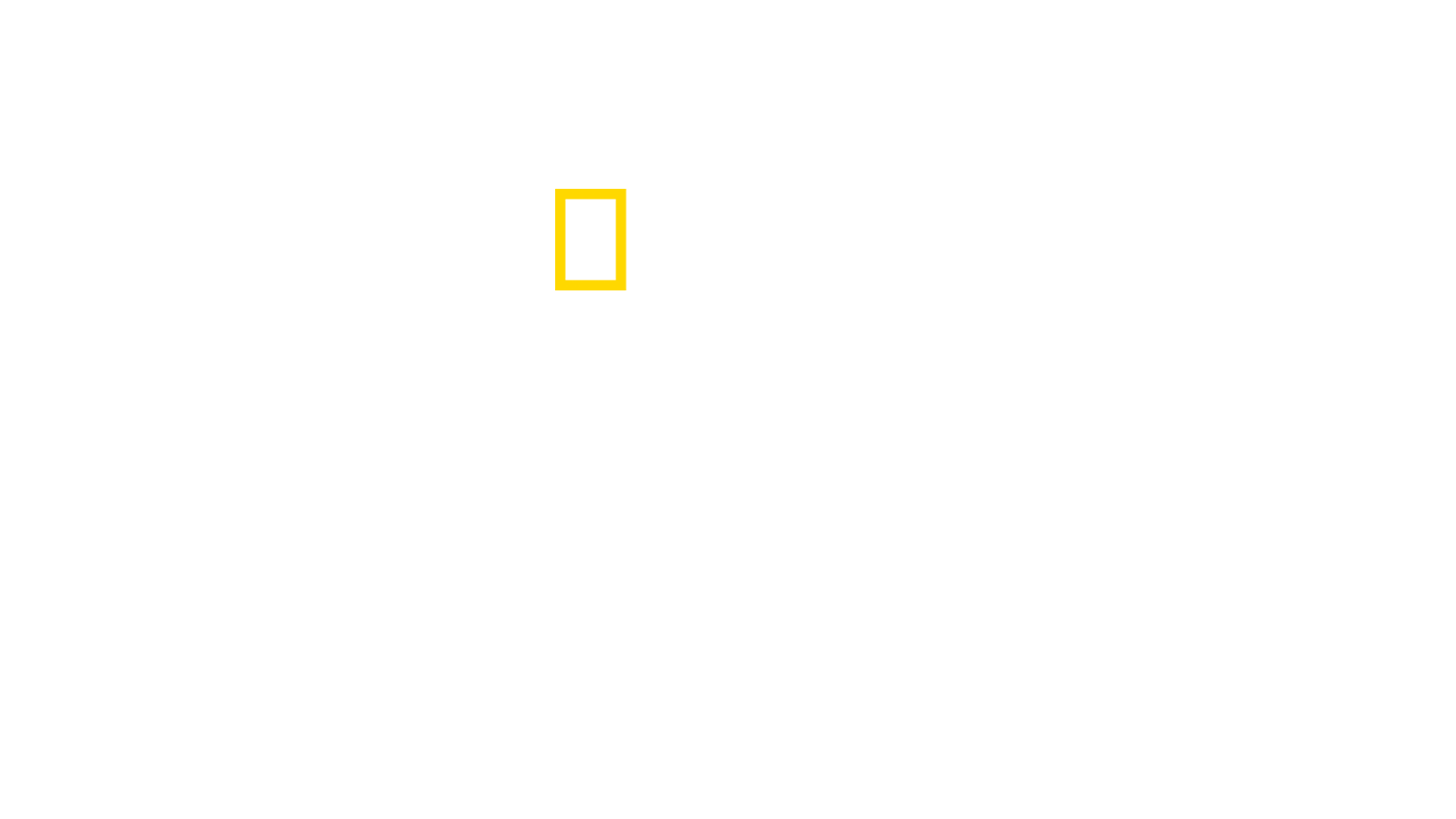 The Rescue