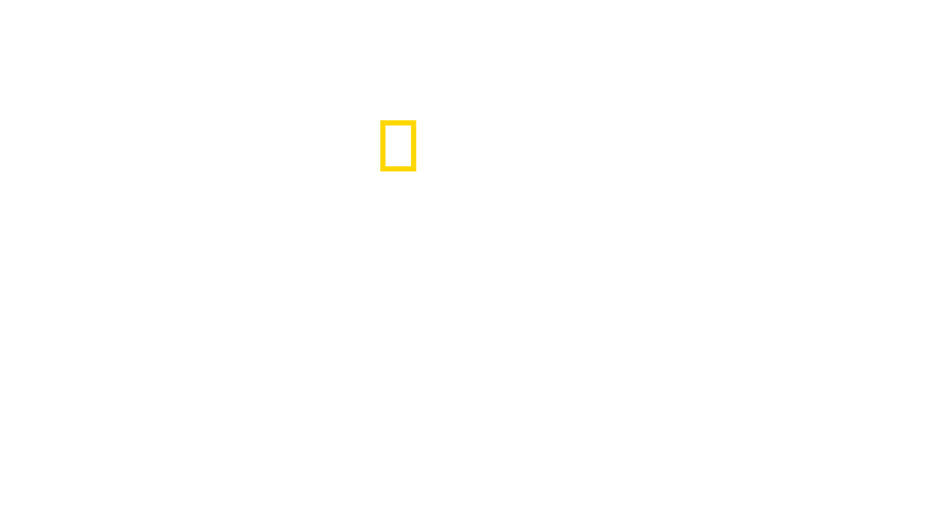 Lost Treasures Of Egypt