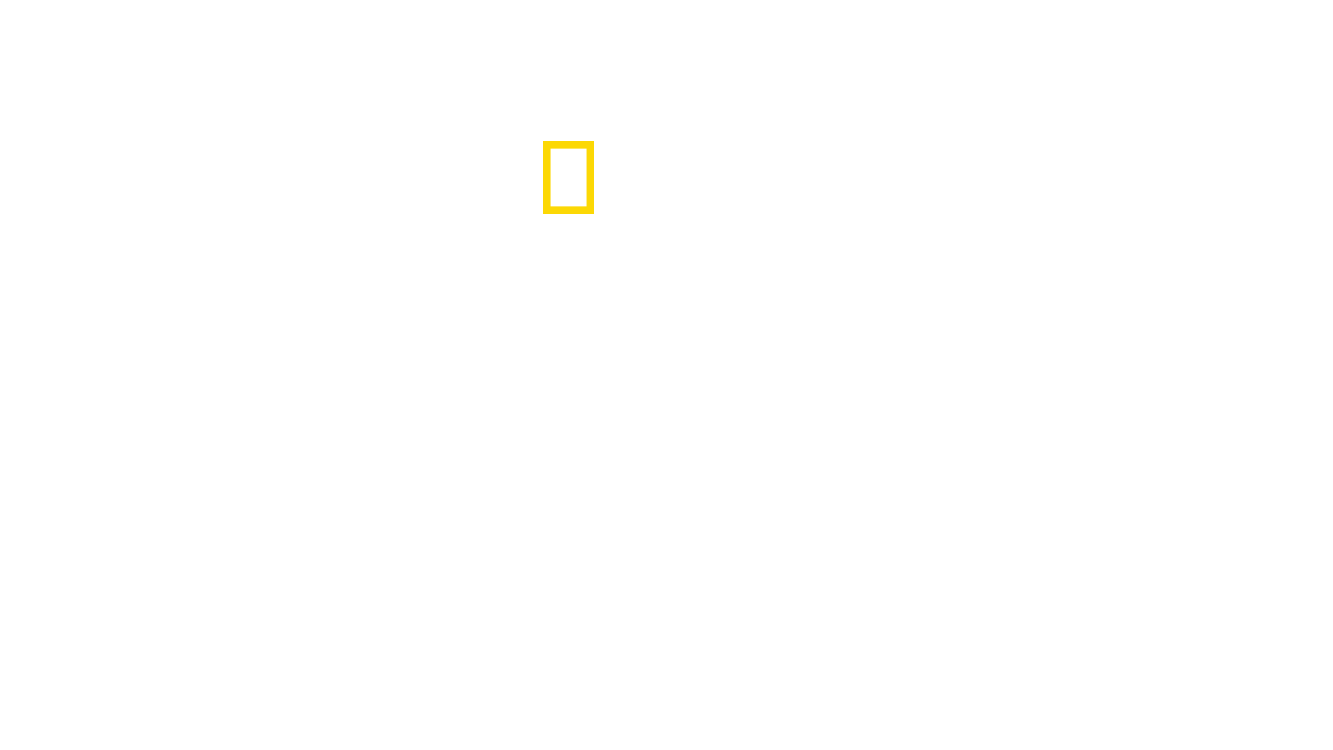 Secrets of the Octopus