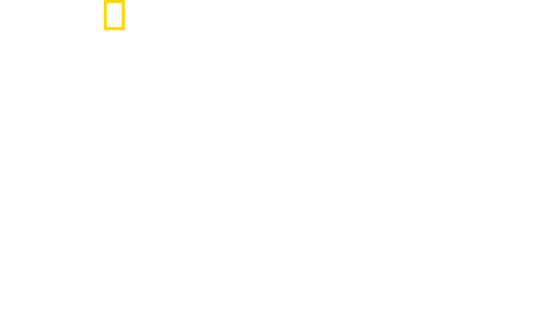 The New Air Force One: Flying Fortress