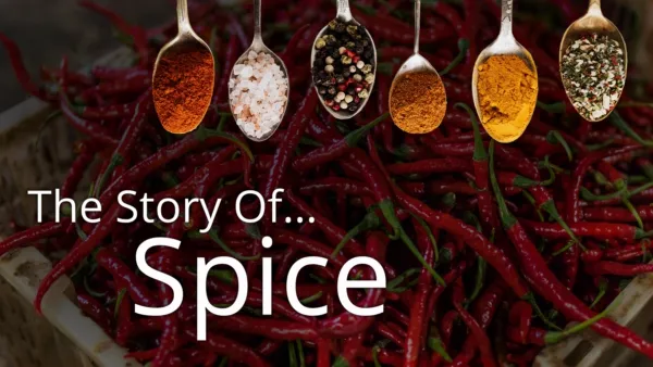 thumbnail - Story of... Spice